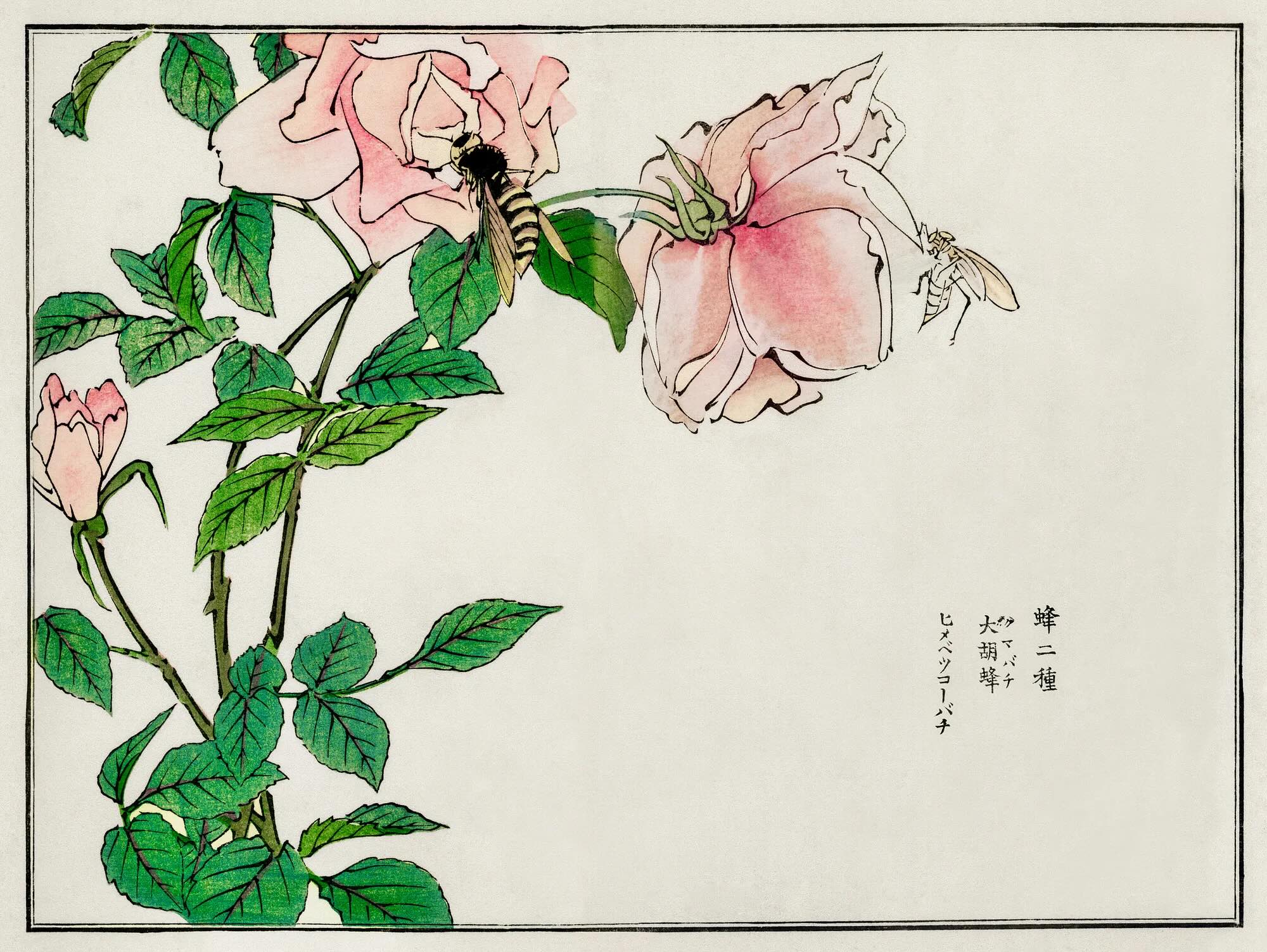 Bee and flower.