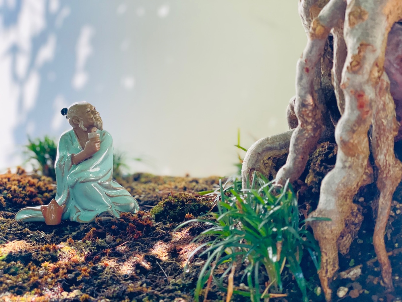Photo of a small monk figurine next to a bonsai tree.